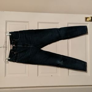 Everlane dark wash blue high rise skinny jean size 28